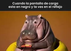 Que guapo el del reflejo