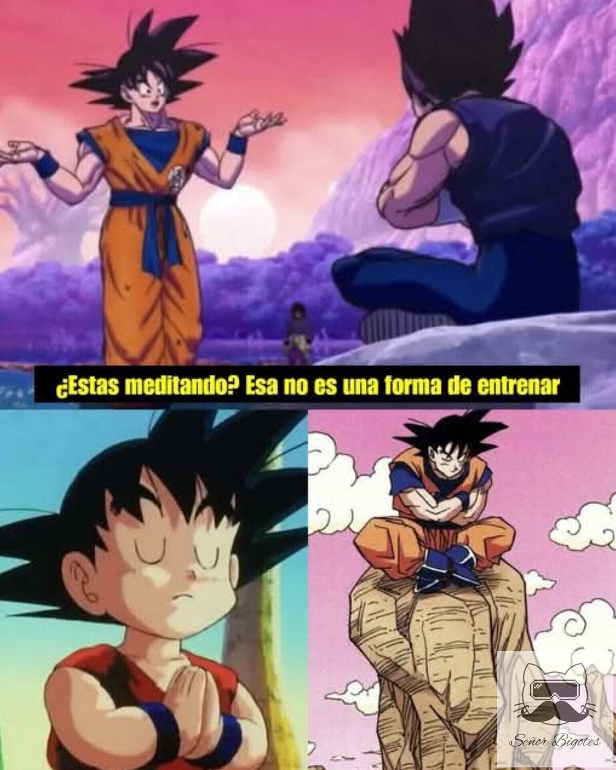 Cuando Goku solía meditar