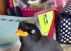 Madre mia, es id&eacute;ntico