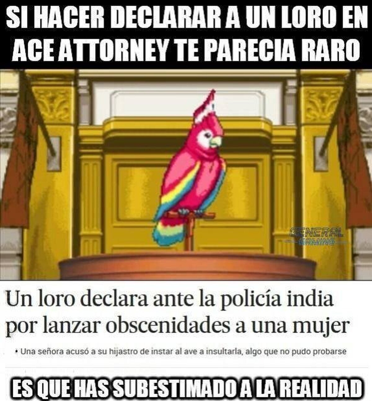 Ese perico sabe cosas