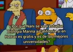 La mitad de Lilo & Stitch no tiene sentido