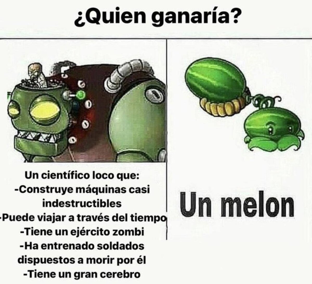 Apuesto todo al melón