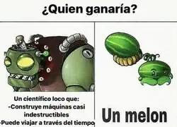 Apuesto todo al mel&oacute;n