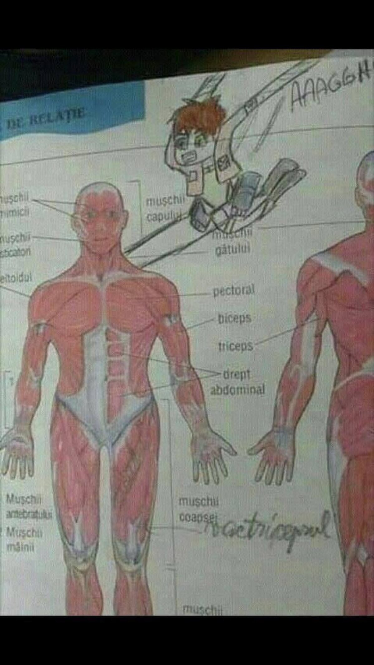 Espero que valga la pena reprobar