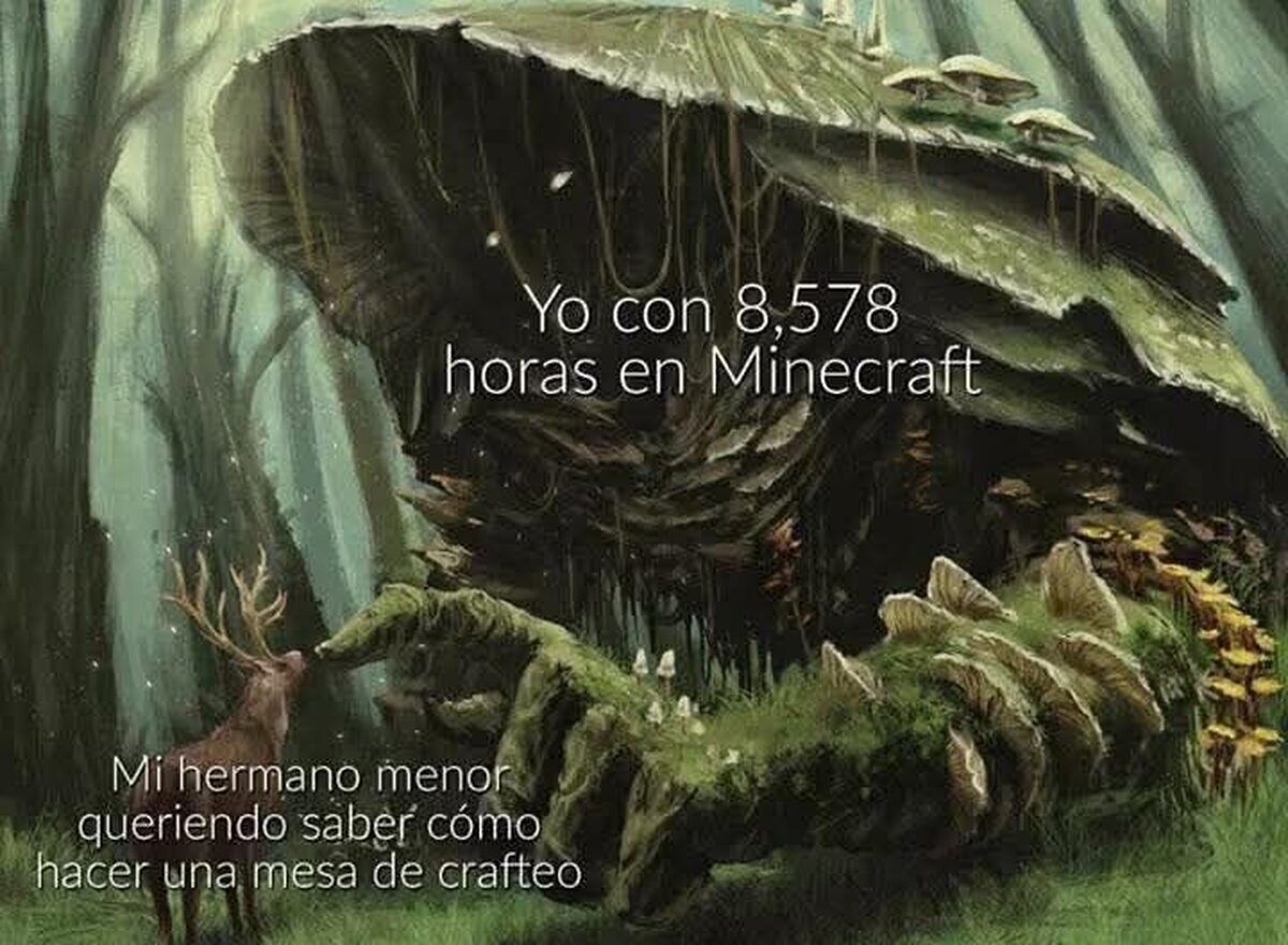 Ayuda de un experto