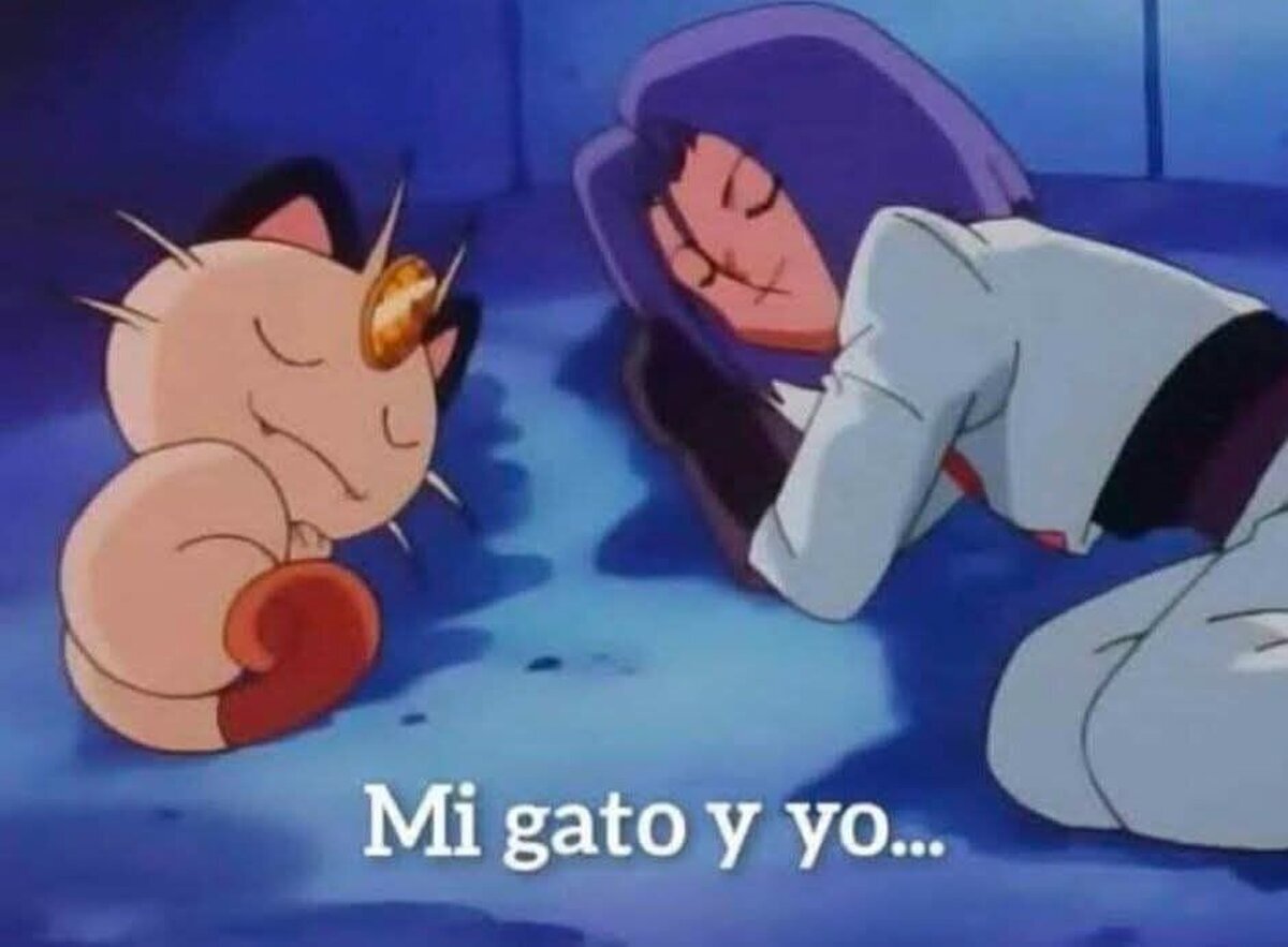 Mi compañero de toda la vida