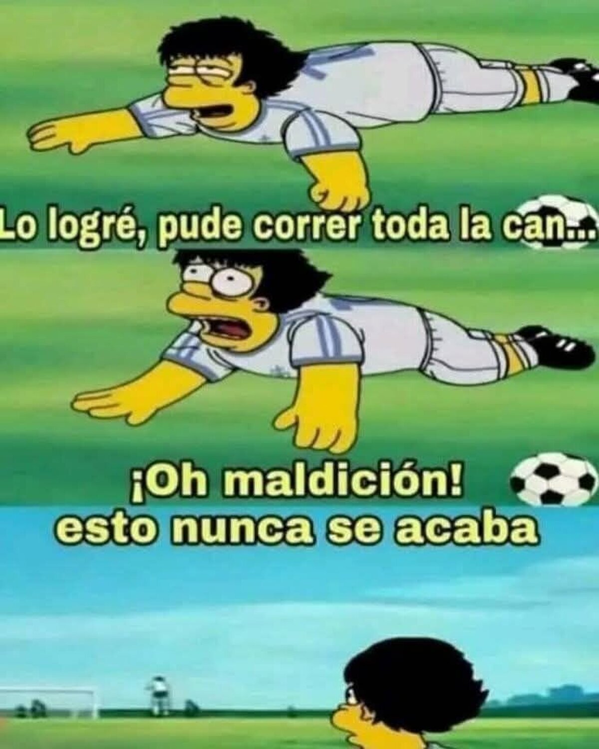 Un campo con el tamaño de un continente