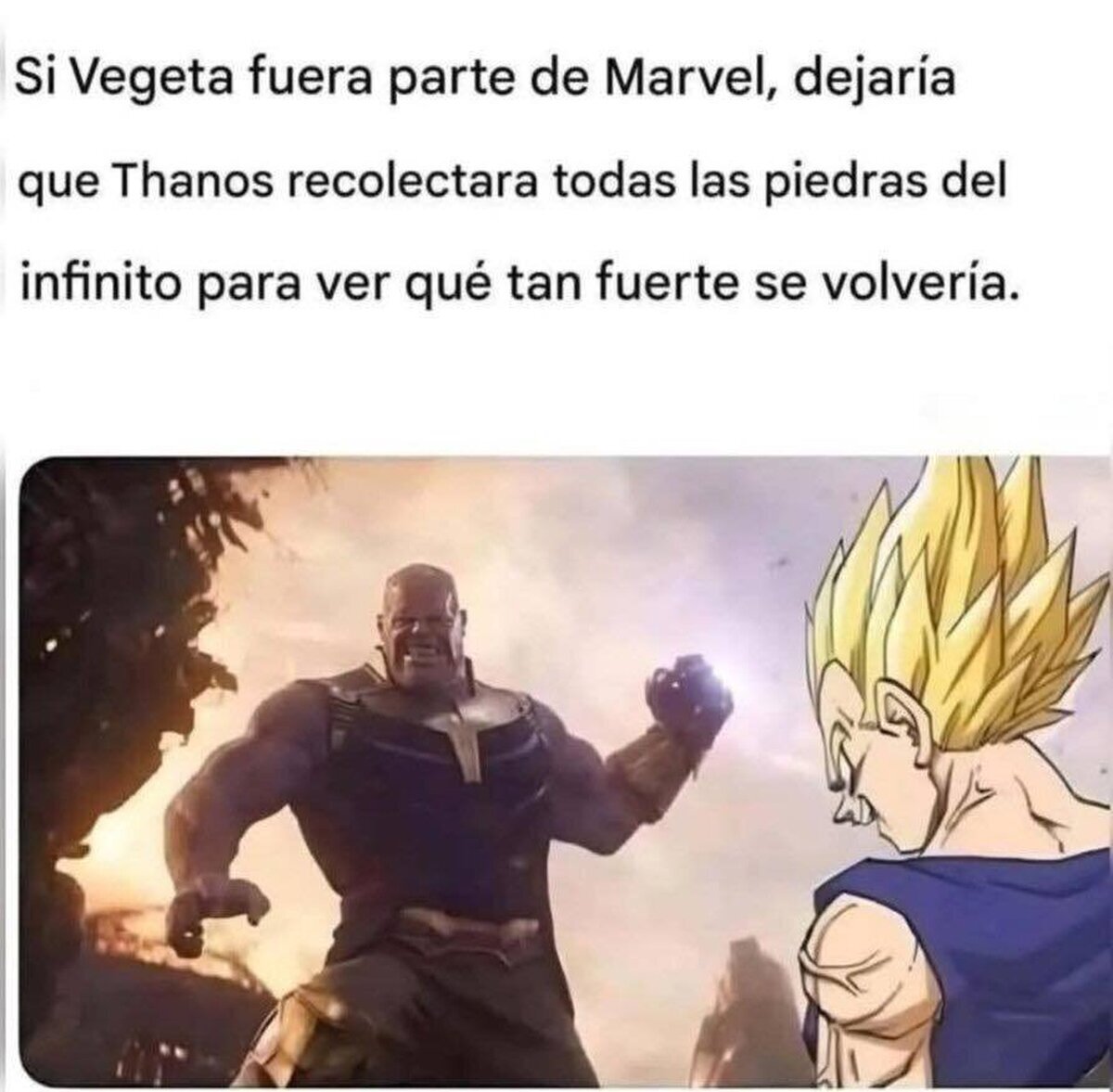 El peor defecto de Vegeta