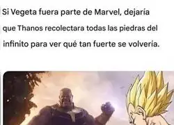 El peor defecto de Vegeta