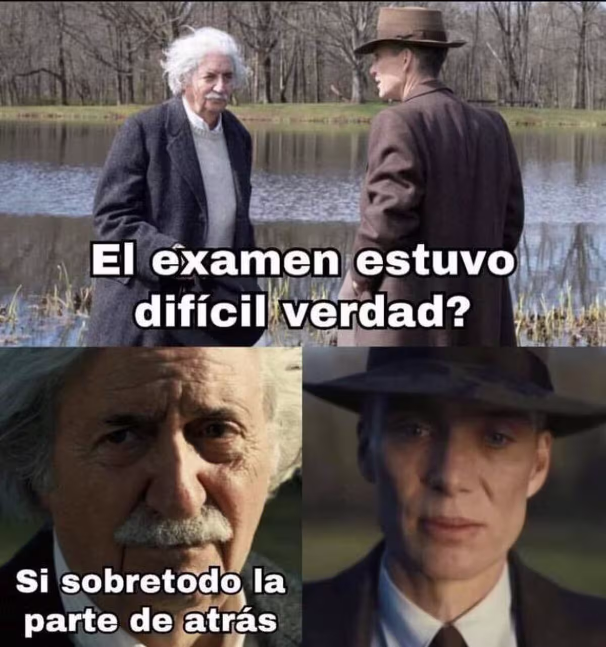 VRU_277052_167ea1de3fdb4dbbafba151cfb9812b1__como_que_parte_de_atras_1200px.avif