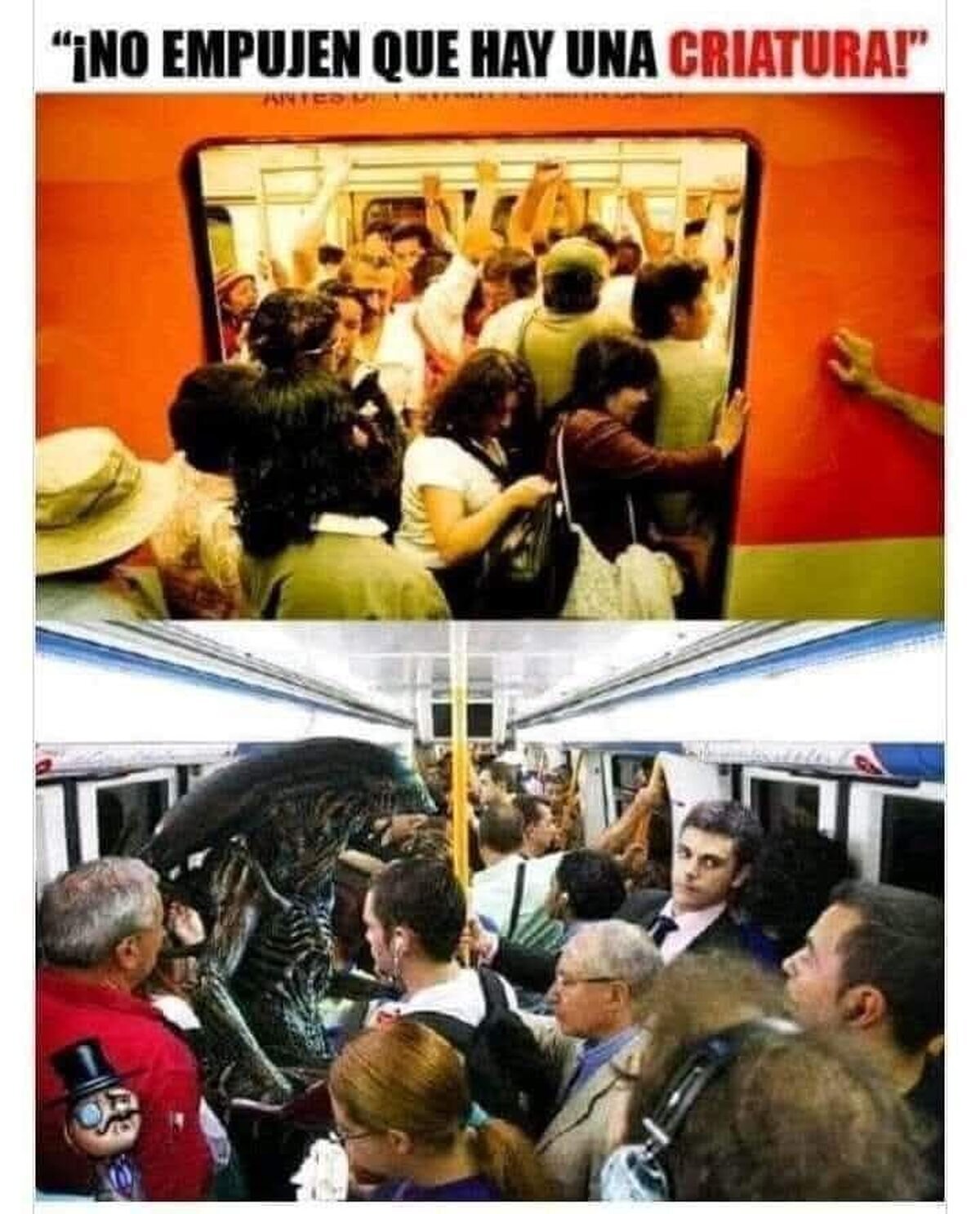 Y no es muy cariñosa..