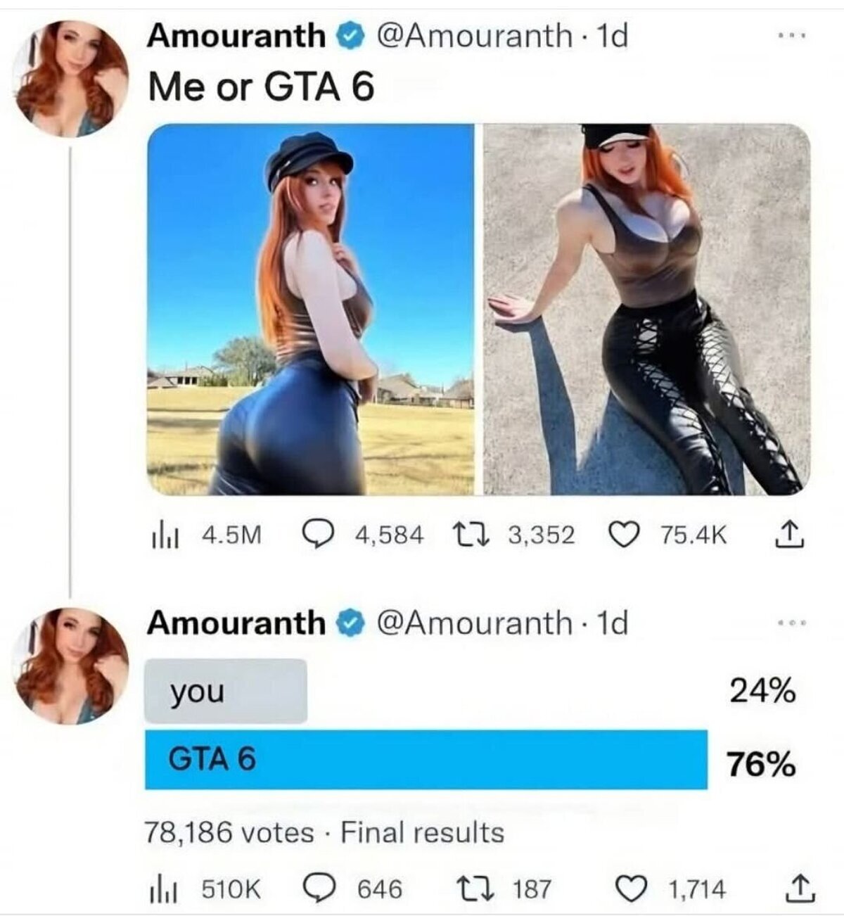 Amo la democracia