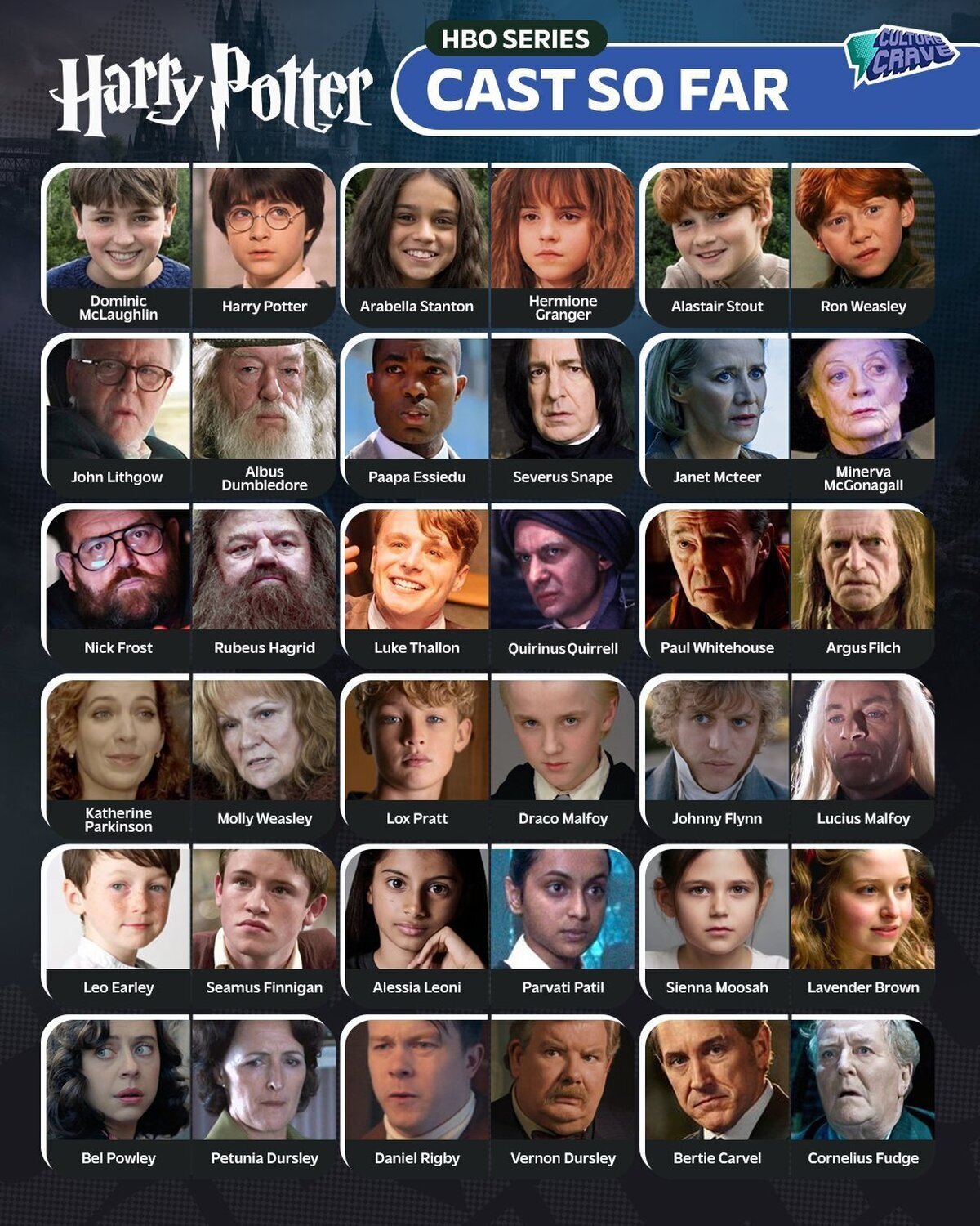 La comparación del nuevo casting de Harry Potter con su primera adaptación