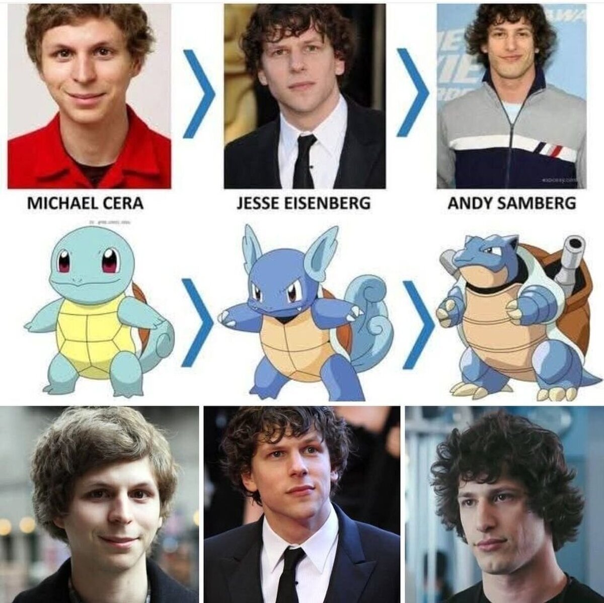 La evolución está en la mandíbula