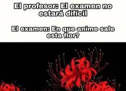 Ya enserio, que flores m&aacute;s bonitas