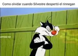 El rinnegan de Silvestre