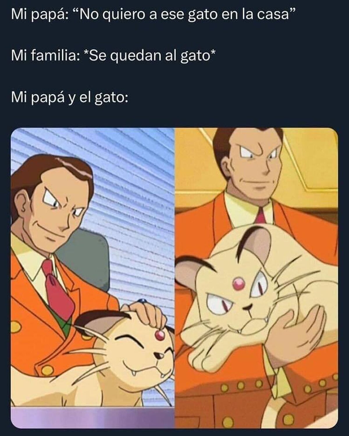 Es que es un muy buen gato