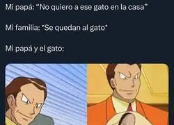 Es que es un muy buen gato