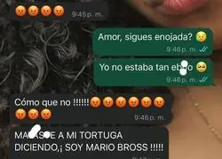 &iexcl;Soy Mario Bros!