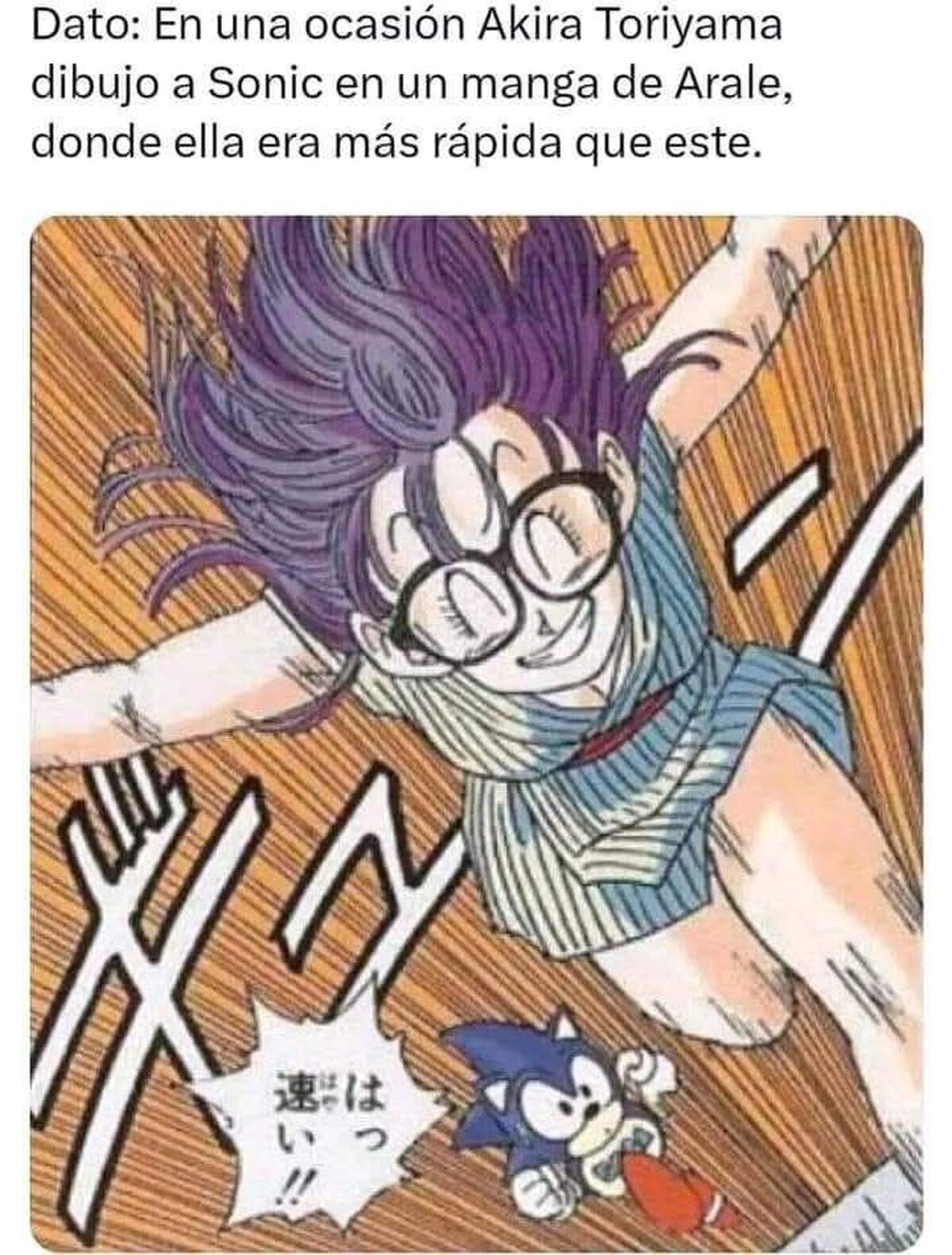 Arale le gana al erizo