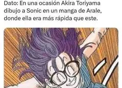 Arale le gana al erizo