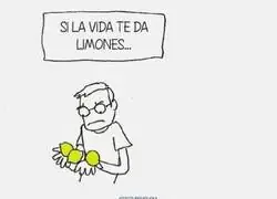 Vengo curtido de Zelda