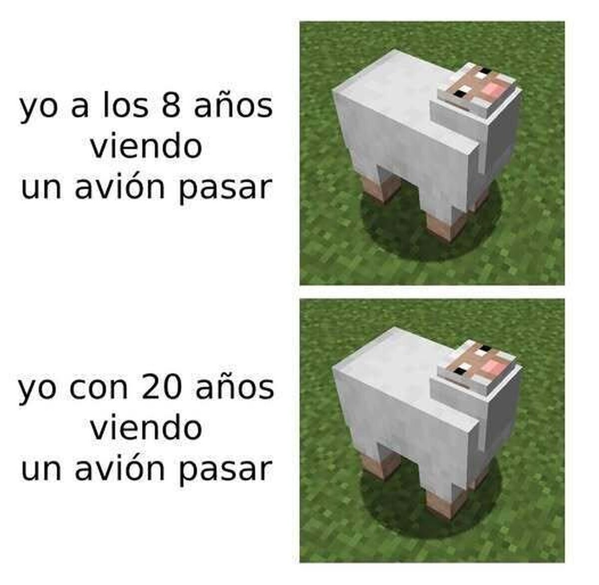Mira, un avión