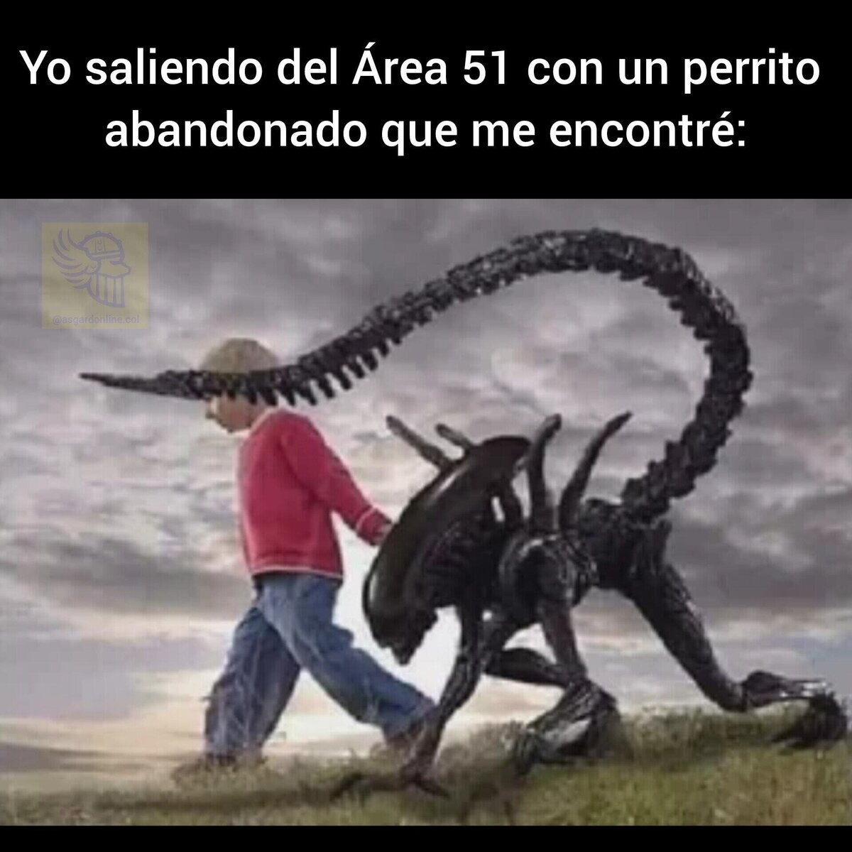 Y saca la lengua si se lo pides