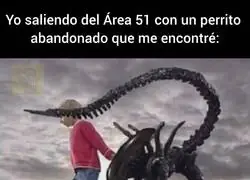 Y saca la lengua si se lo pides