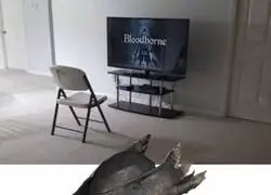 Las necesidades del hombre satisfechas