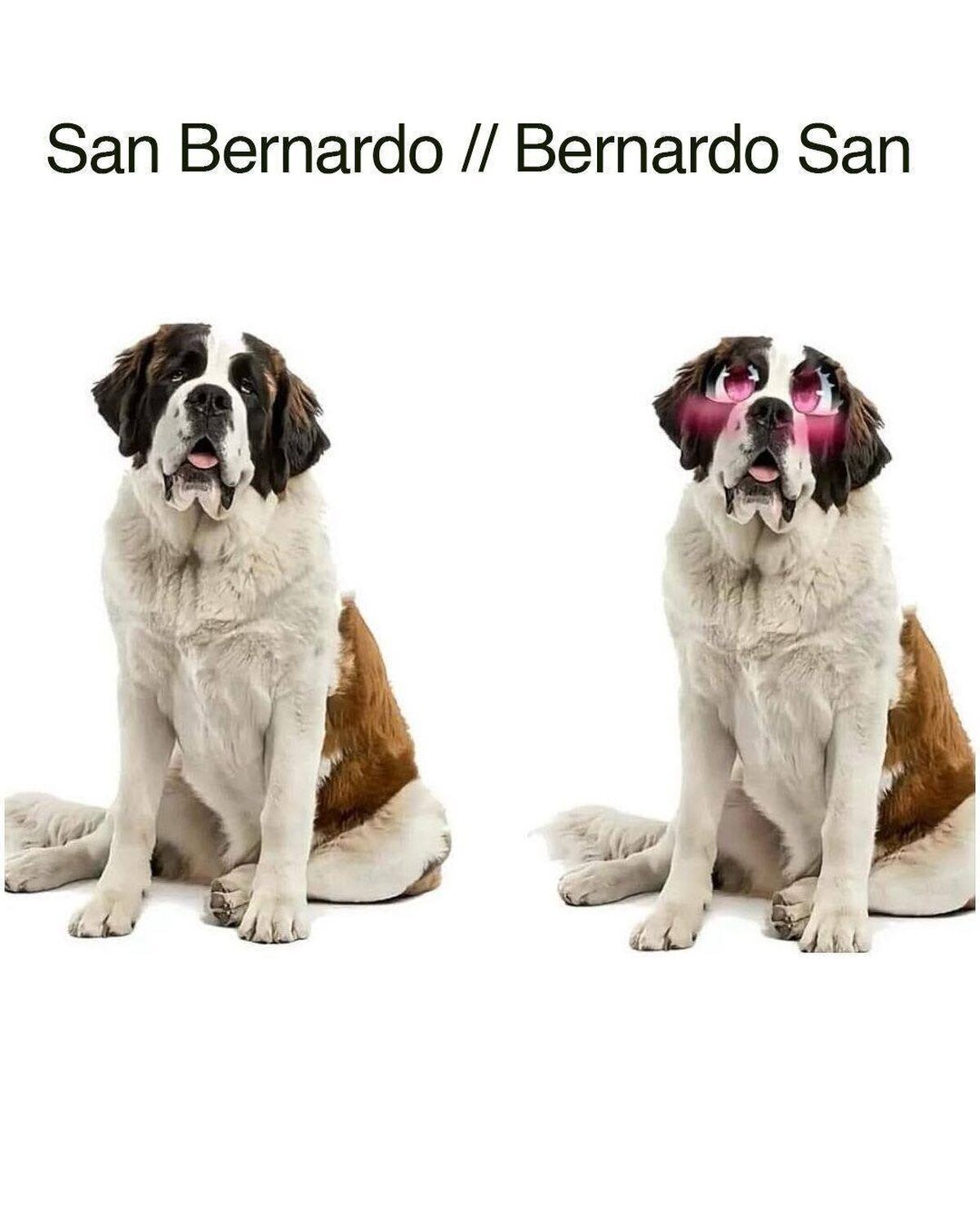 Me siento sucio por reirme de esto