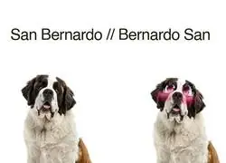 Me siento sucio por reirme de esto