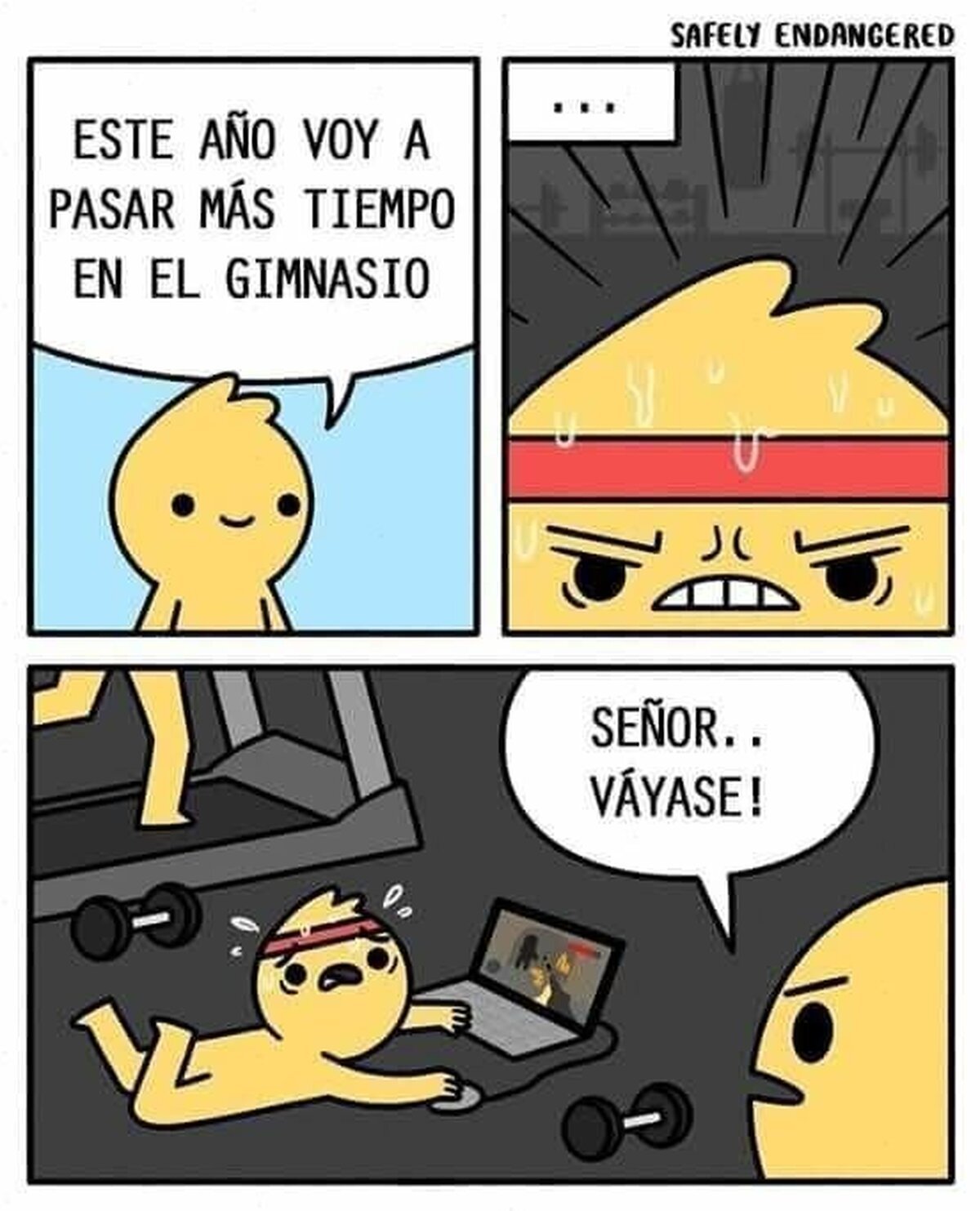 Mi propósito de este año