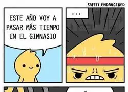 Mi prop&oacute;sito de este a&ntilde;o