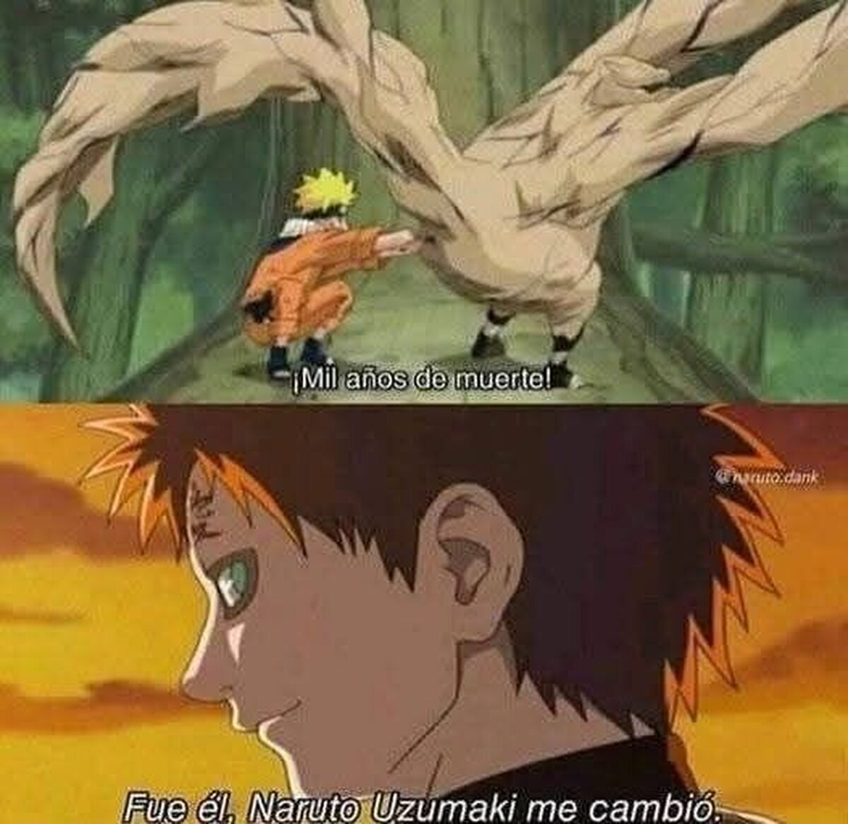 Le dio mucho... desarrollo