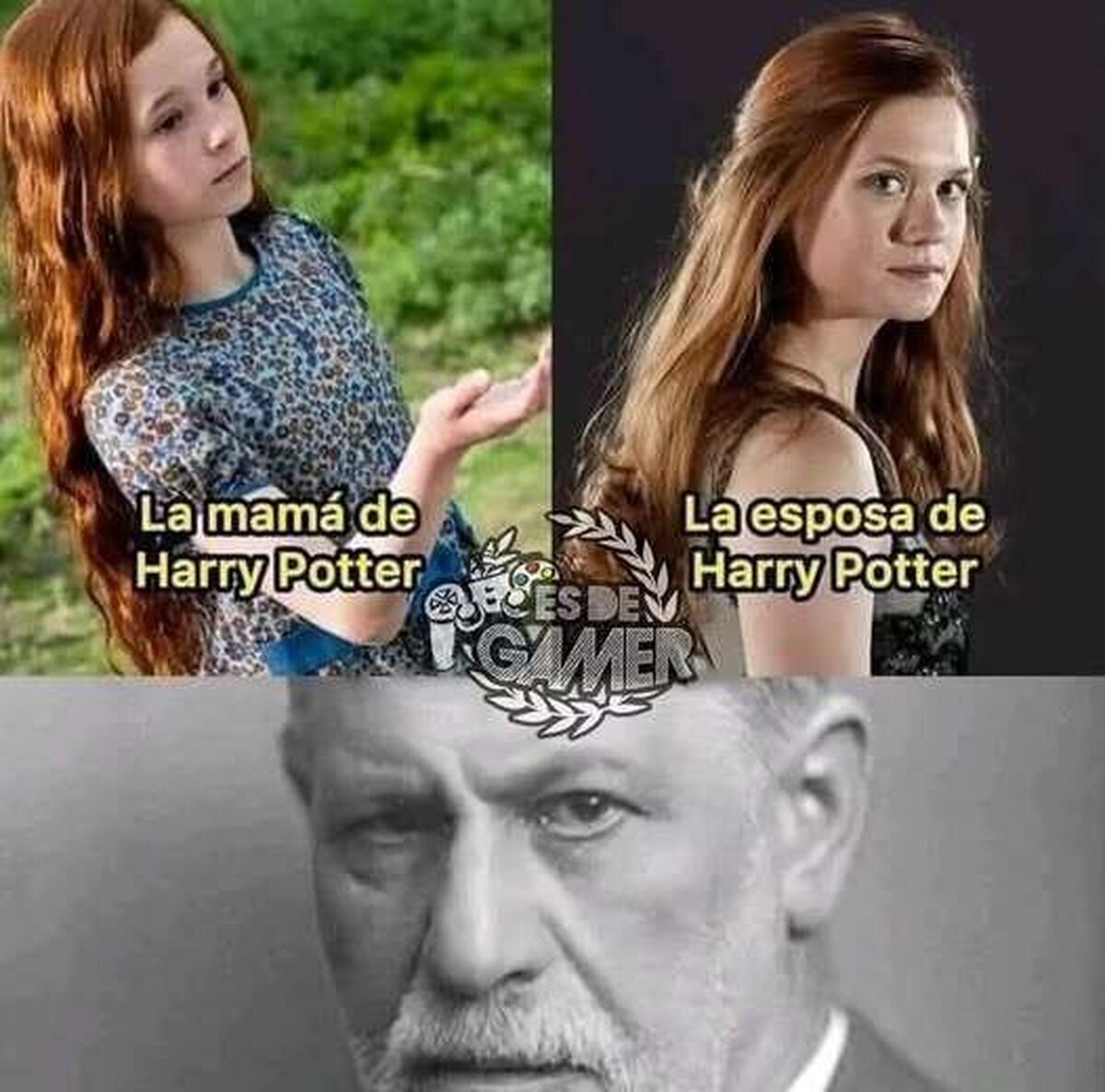 Sigmund analizando a Harry