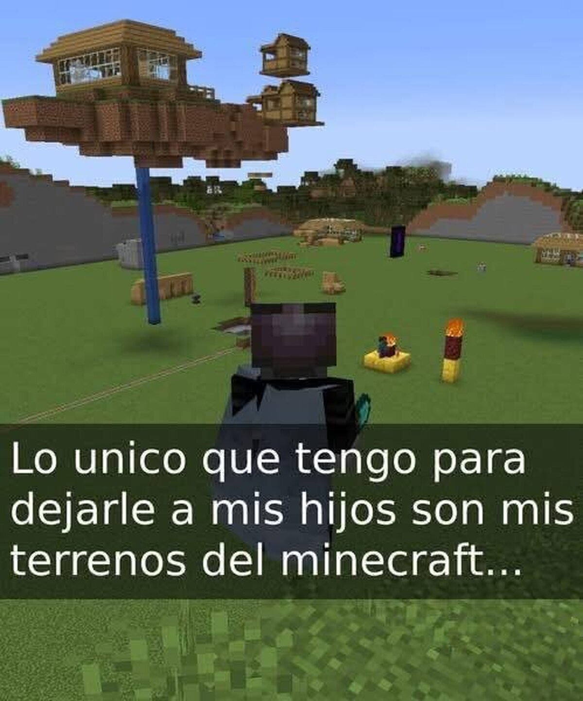 Los terrenos de mis hijos