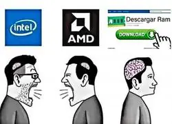 Todos tontos menos yo