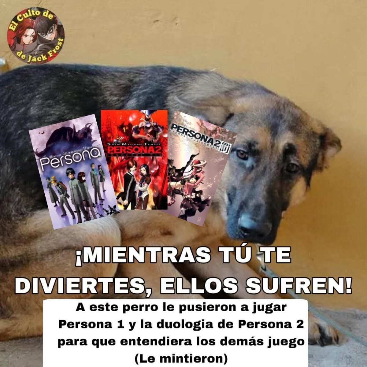 Estoy harto del maltrato animal