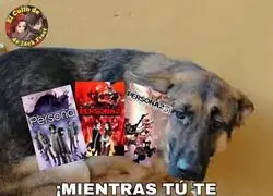 Estoy harto del maltrato animal