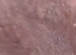 Eso no es un headcrab...