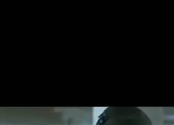 La cara de guerra de este gatito