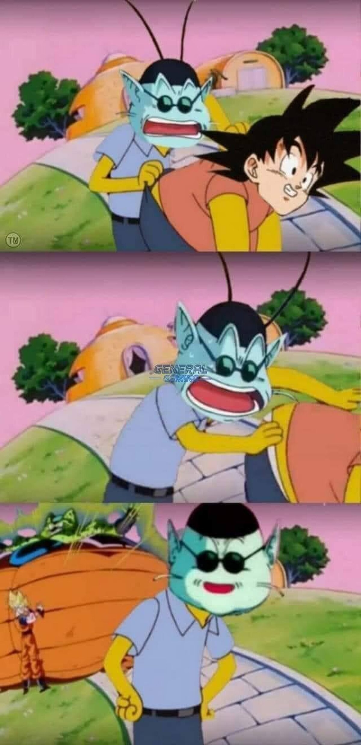 Que mal le fue a Kaio Sama