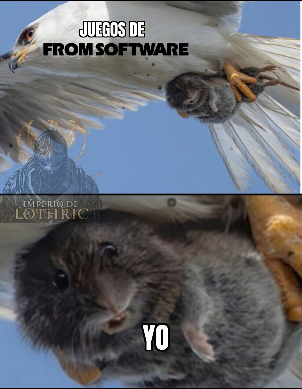Me van a hacer mucho daño