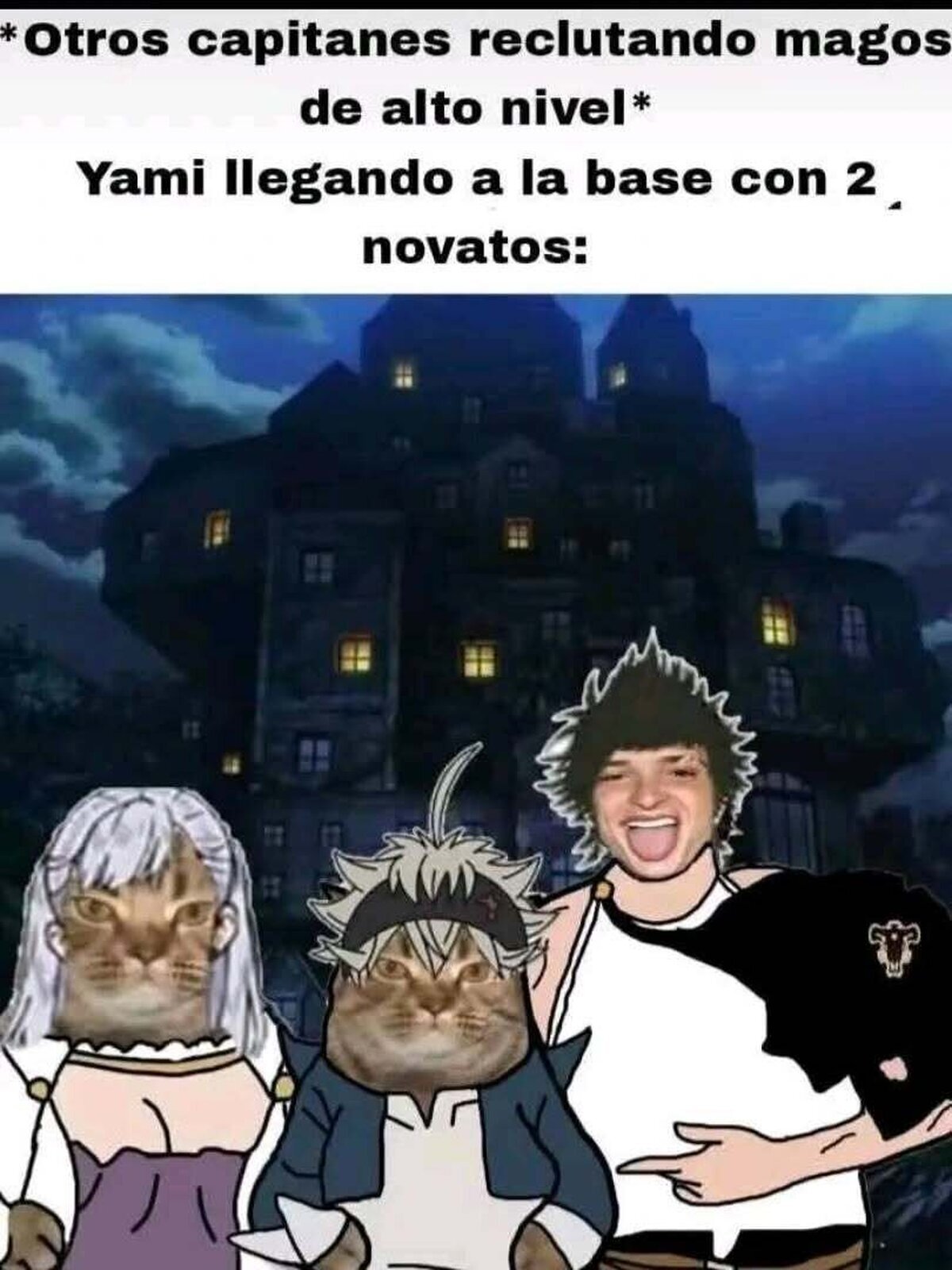 Todos saben lo bien que le va a los novatos en los animes