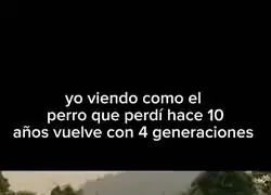 Aument&oacute; la descendencia