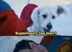 S&oacute;lo me importa una cosa