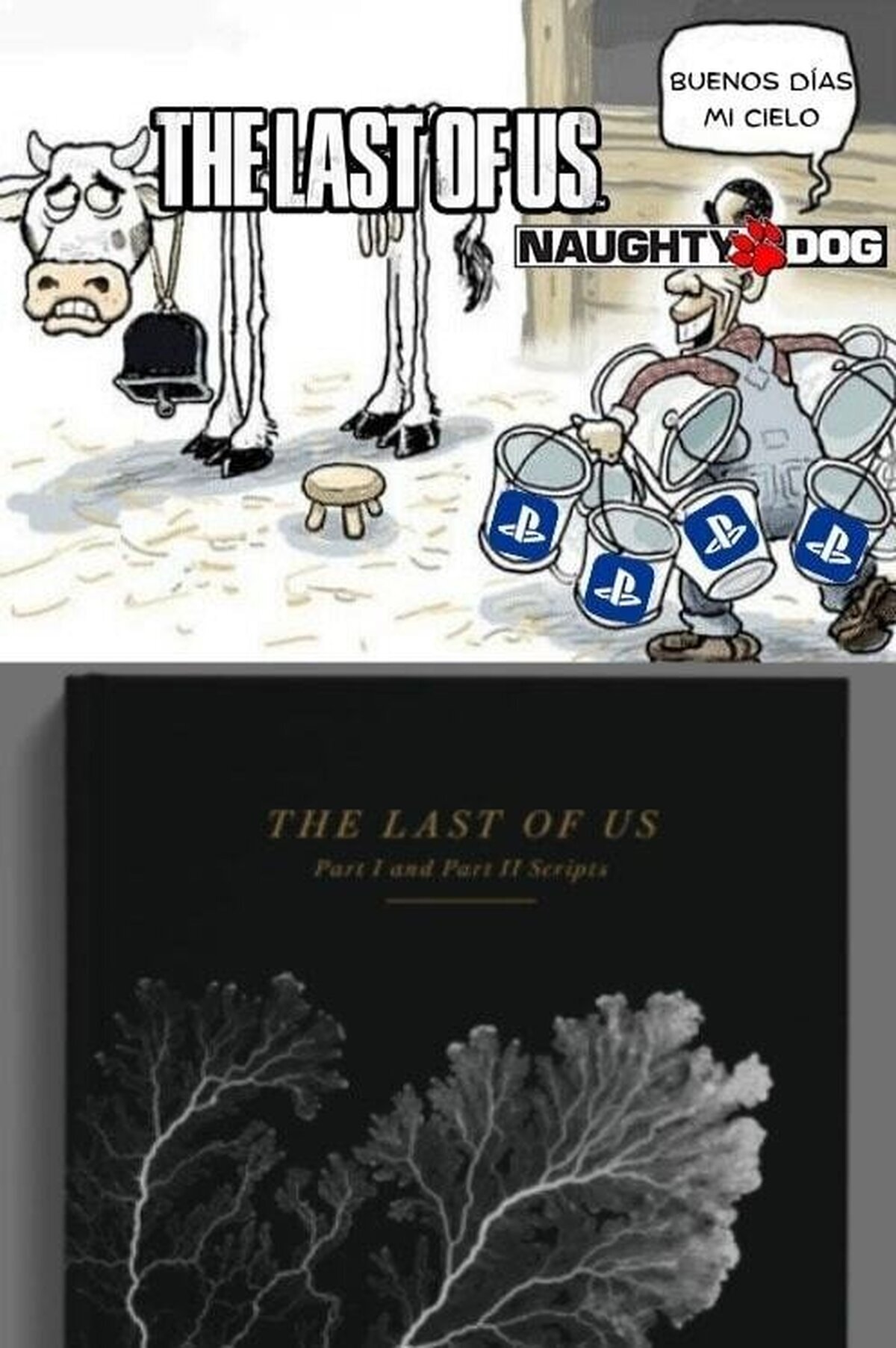 Un libro, hermano. Le han sacado un libro...