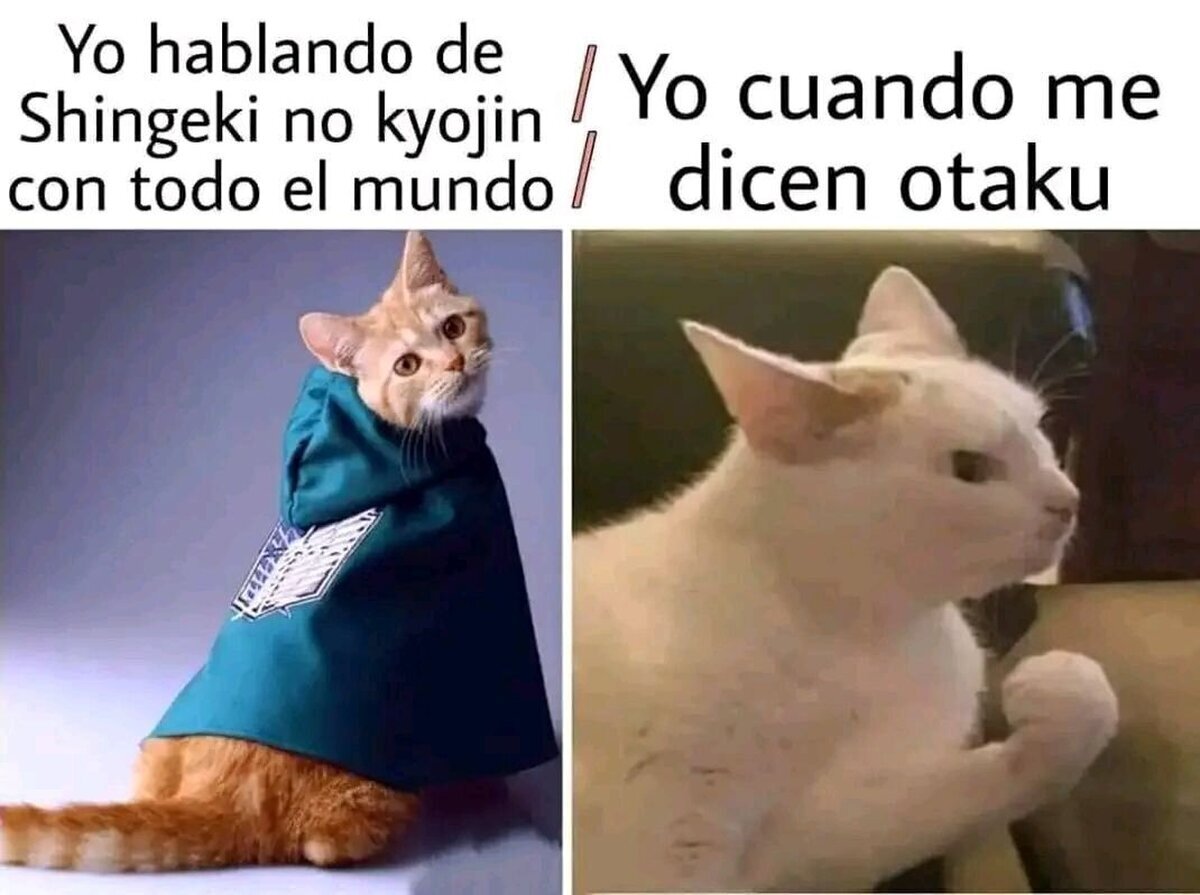 Si lo soy pero no me gusta el título