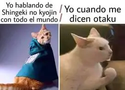 Si lo soy pero no me gusta el t&iacute;tulo